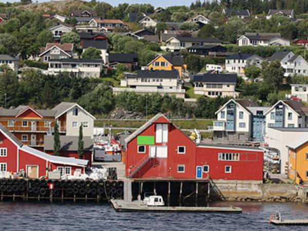 rorvik
